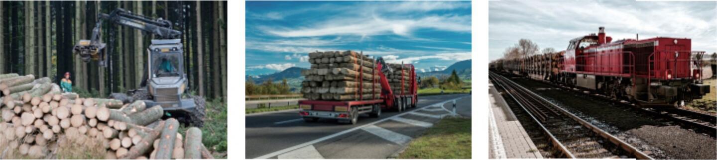 Gestione del trasporto di legname svedese