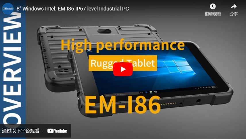 8 ''Windows Intel: EM-I86 IP67 livello PC industriale